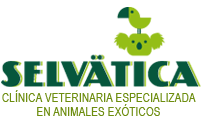 Clínica Veterinaria de exóticos Logo